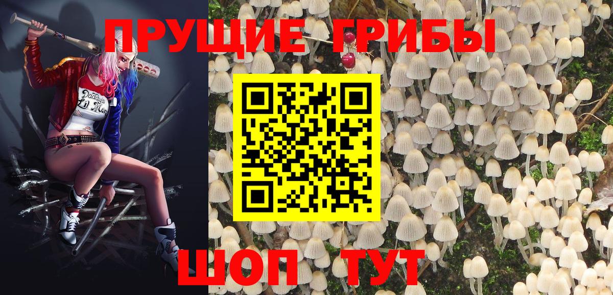 Галлюциногенные грибы GOLDEN TEACHER Удомля